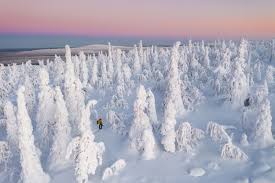 Random Design: Another image I saw when I searched it up