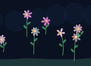 Experimentation With Code