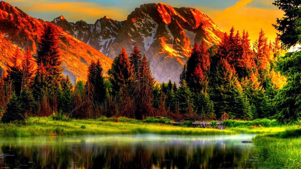 put a description here or you will lose grades